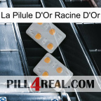 The Golden Root Gold Pill 25